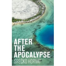 After the Apocalypse - Srecko Horvat