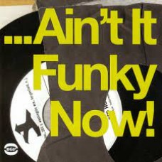Ain’t It Funky Now! – Various Artists 2X LP Vinyl (BGP)