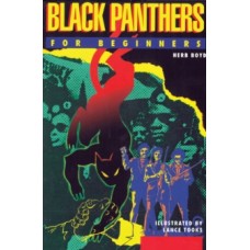 Black Panthers for Beginners - Herb Boyd & Lance Tooks