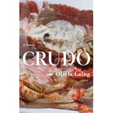 Crudo - Olivia Laing 