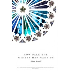 How Pale the Winter Has Made Us - Adam Scovell 