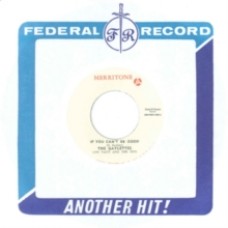 The Gaylettes/Mike Thompson - If You Can't Be Good /Rocksteady Wedding 