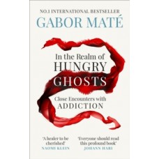 In the Realm of Hungry Ghosts : Close Encounters with Addiction - Gabor Mate 