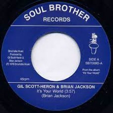Gil Scott-Heron & Brian Jackson - It's Your World/ Winter In America 45 (Soul Brother) 