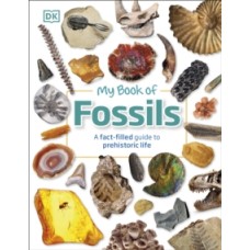 My Book of Fossils : A fact-filled guide to prehistoric life